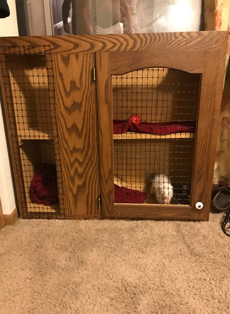 Diy Ferret Cage Build A Brilliant
