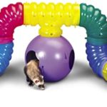 ferrets playing in a colorful DIY ferret tunnel system