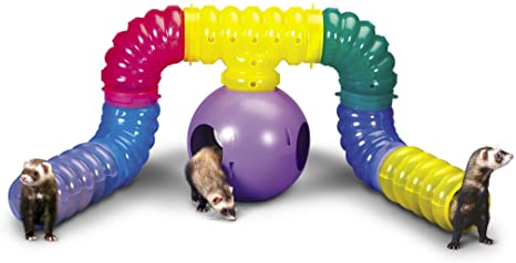 ferrets playing in a colorful DIY ferret tunnel system