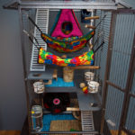 cool ferret cage ideas with all the cool stuff