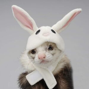 Cute Bunny Hat-image