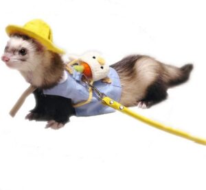 Ferret gardener Costume with Harness and Leash -image