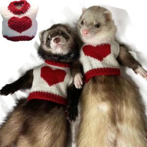 Ferret Christmas Vest  Kit Outfit, One Piece-image