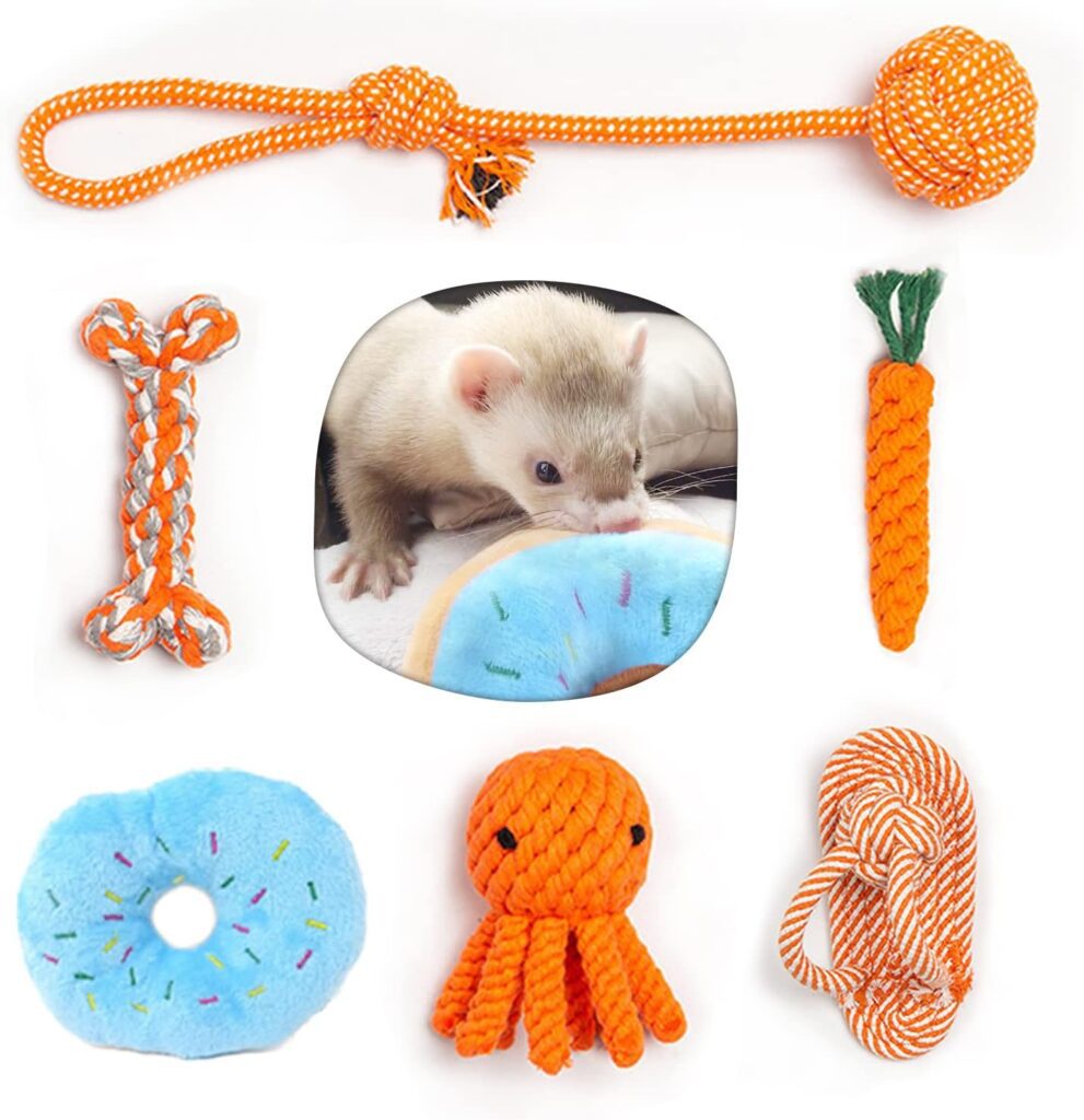 ferret toys for health and exercise