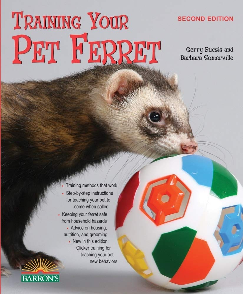 training your pet ferret book