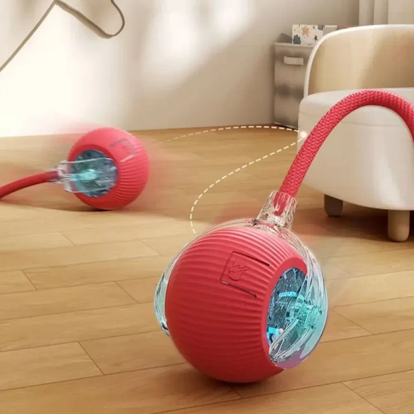 smart ball for ferrets