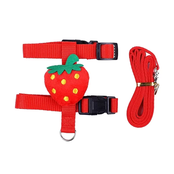 Ferret Harness and Leash Set | Adjustable Pet Lead Leash for Small Animals - Image 6