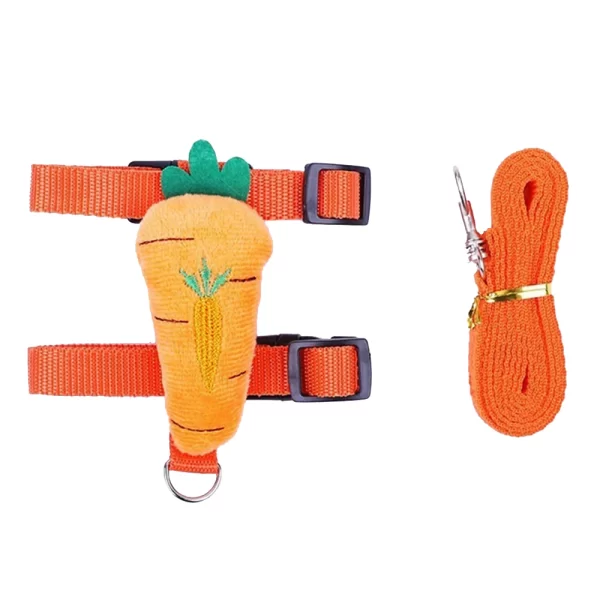 Ferret Harness and Leash Set | Adjustable Pet Lead Leash for Small Animals - Image 3