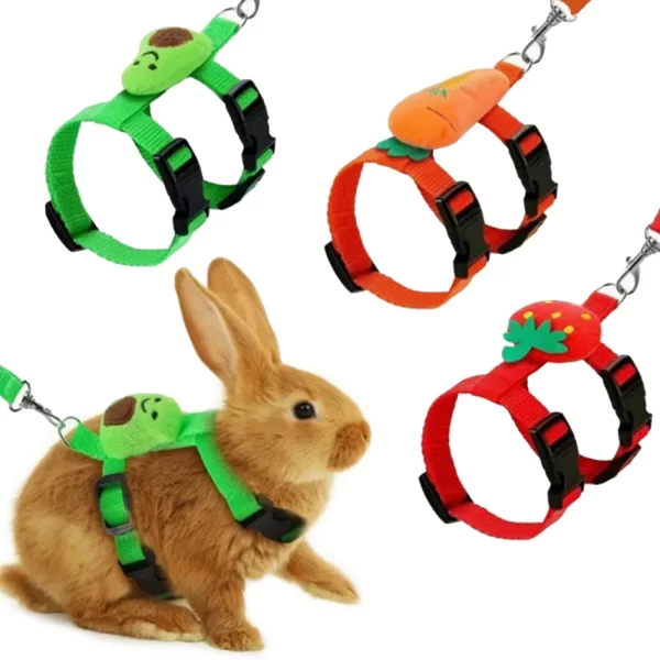 Ferret Harness and Leash Set | Adjustable Pet Lead Leash for Small Animals
