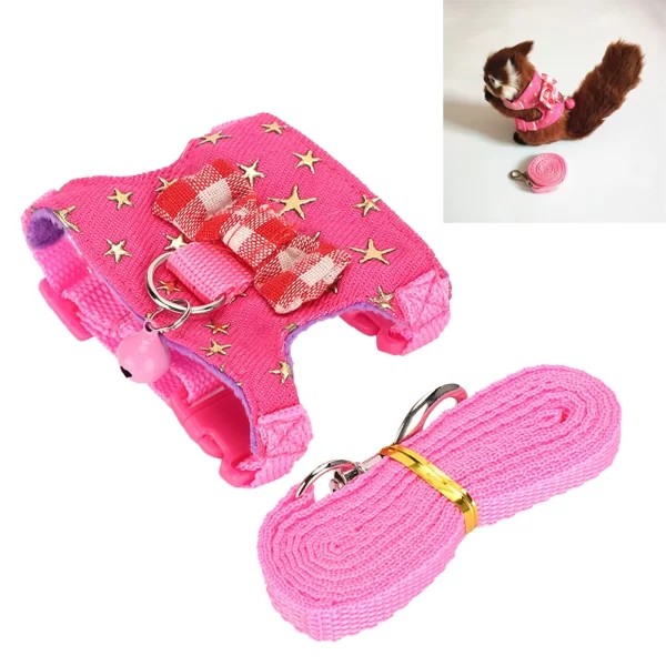 Ferret Bow-knot Harness | Traction Rope Leash With Vest